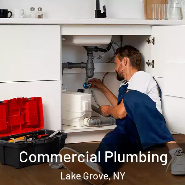  Commercial Plumbing Lake Grove, NY