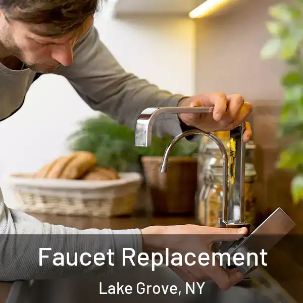  Faucet Replacement Lake Grove, NY