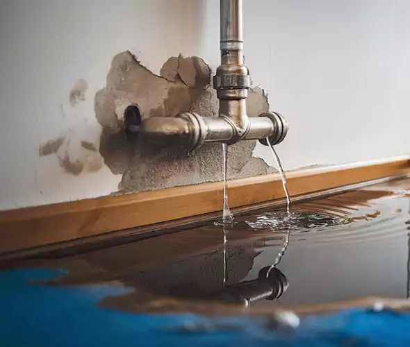 Professional Water Damage Restoration Experts in Lake Grove, NY — Fast, Reliable & Certified