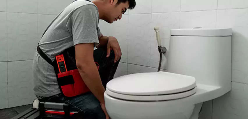 Toilet Repair in Lake Grove