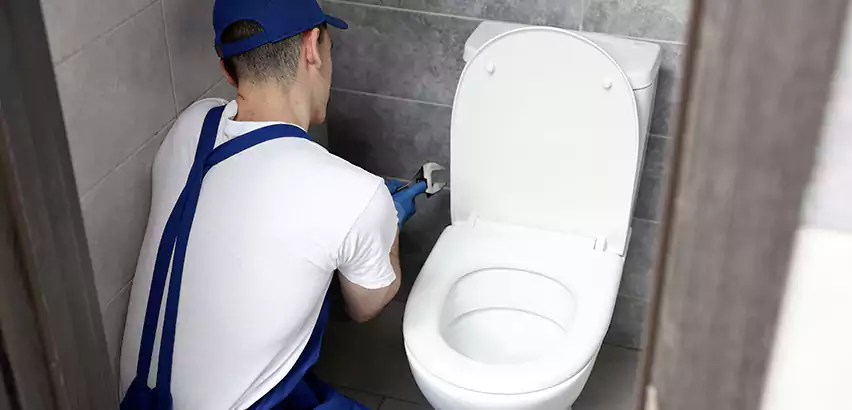Toilet Lid Replacement in Lake Grove