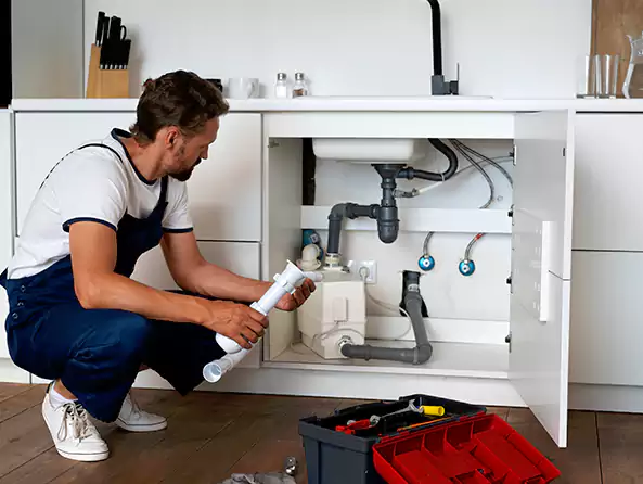 Why Choose Lake Grove Plumbing for Insinkerator Installation in Lake Grove, NY?