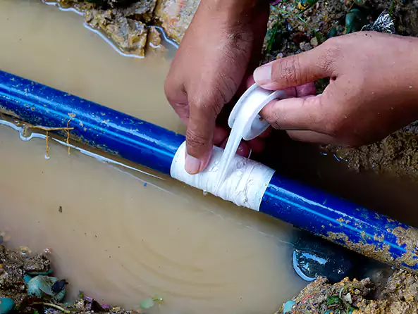  Why Choose Lake Grove Plumbing for Leak Detection in Lake Grove, NY?]