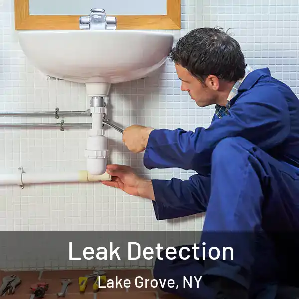  Leak Detection Lake Grove, NY