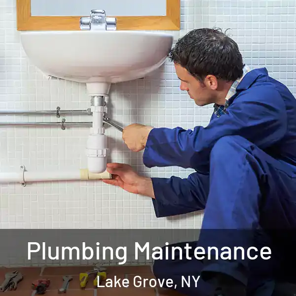  Plumbing Maintenance Lake Grove, NY