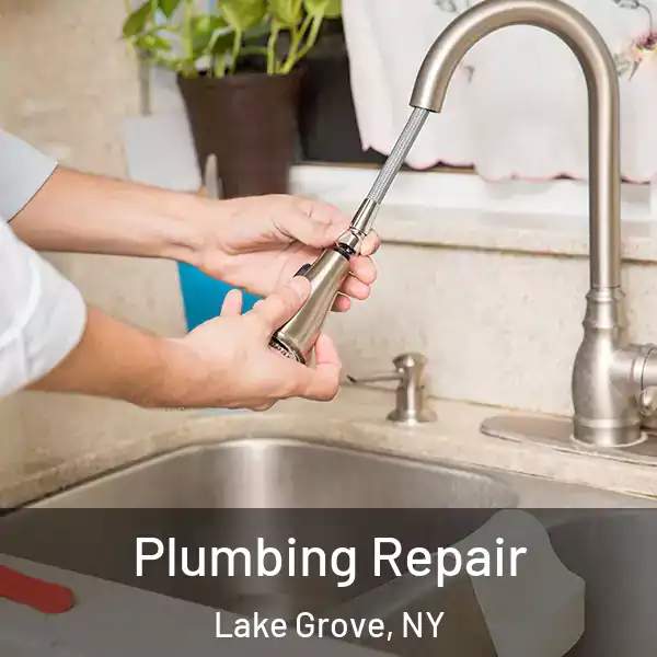  Plumbing Repair Lake Grove, NY
