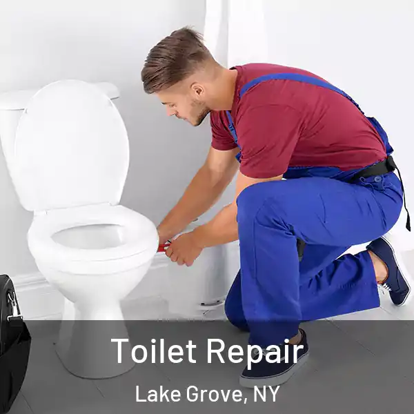  Toilet Repair Lake Grove, NY