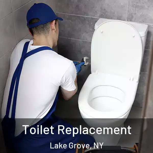  Toilet Replacement Lake Grove, NY