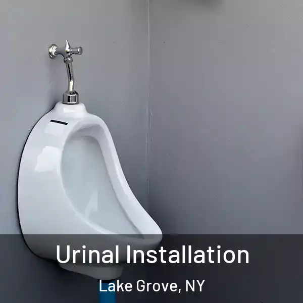  Urinal Installation Lake Grove, NY