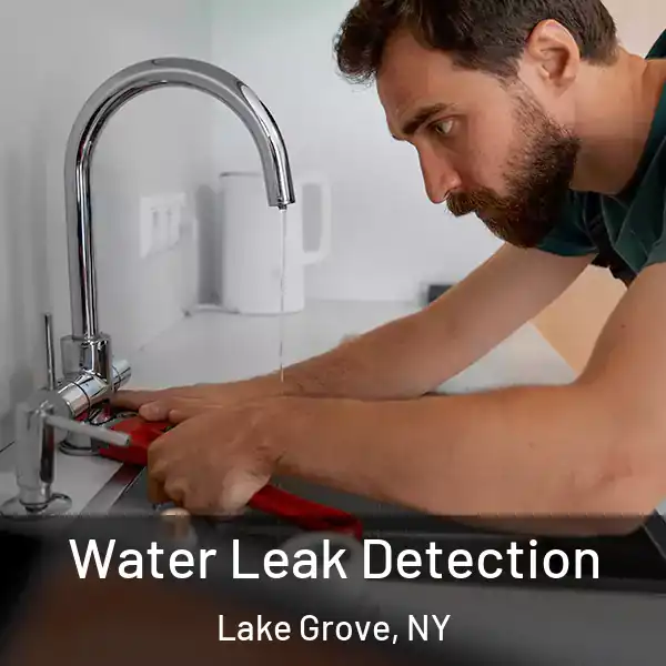  Water Leak Detection Lake Grove, NY